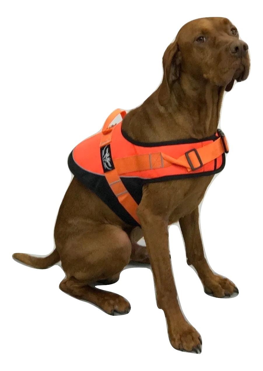 Dog Safety Vest