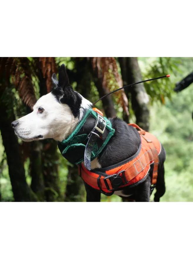 Dog Safety Vest