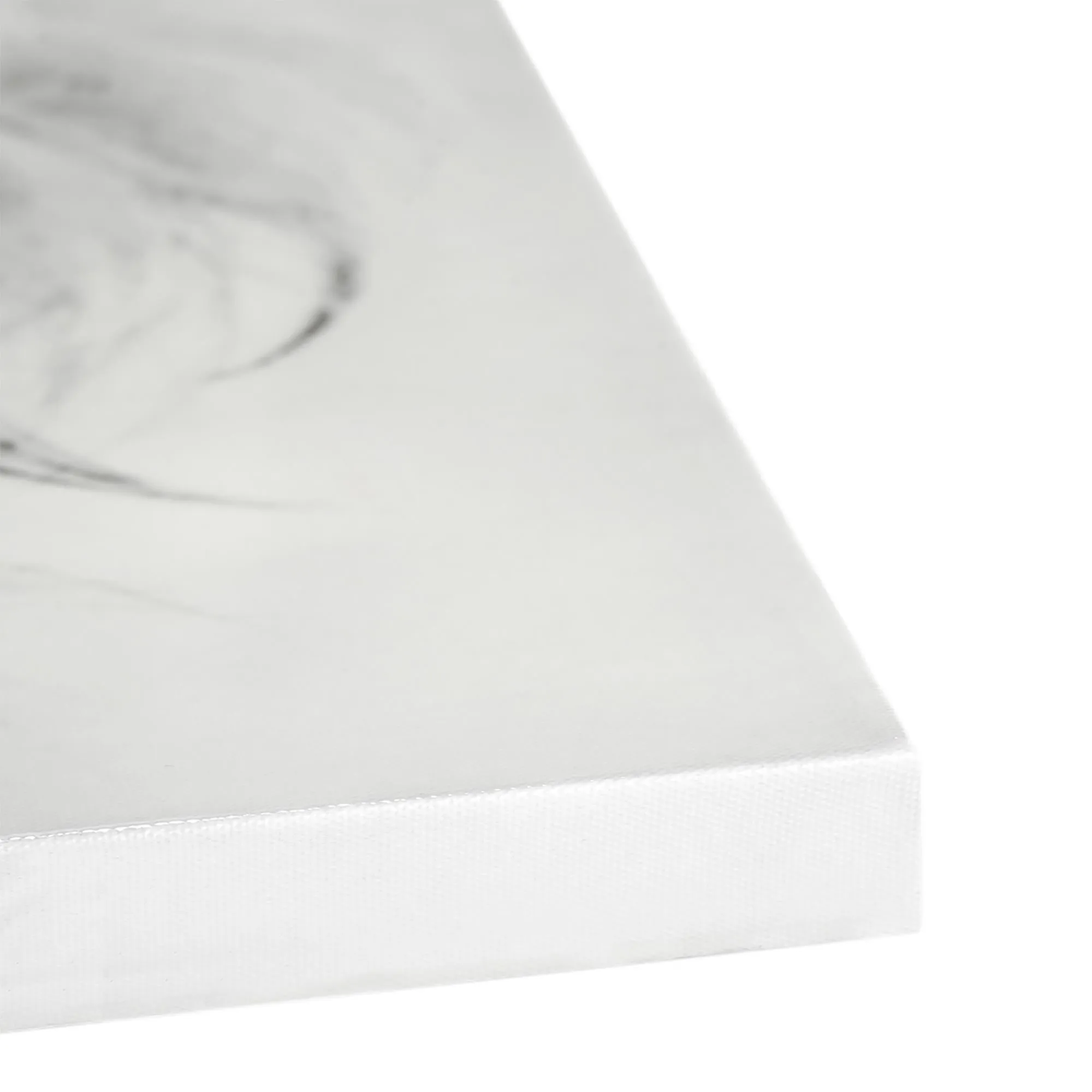 Regal Lion Black and White Glossy Canvas Wall Art Print - 30" x 30"