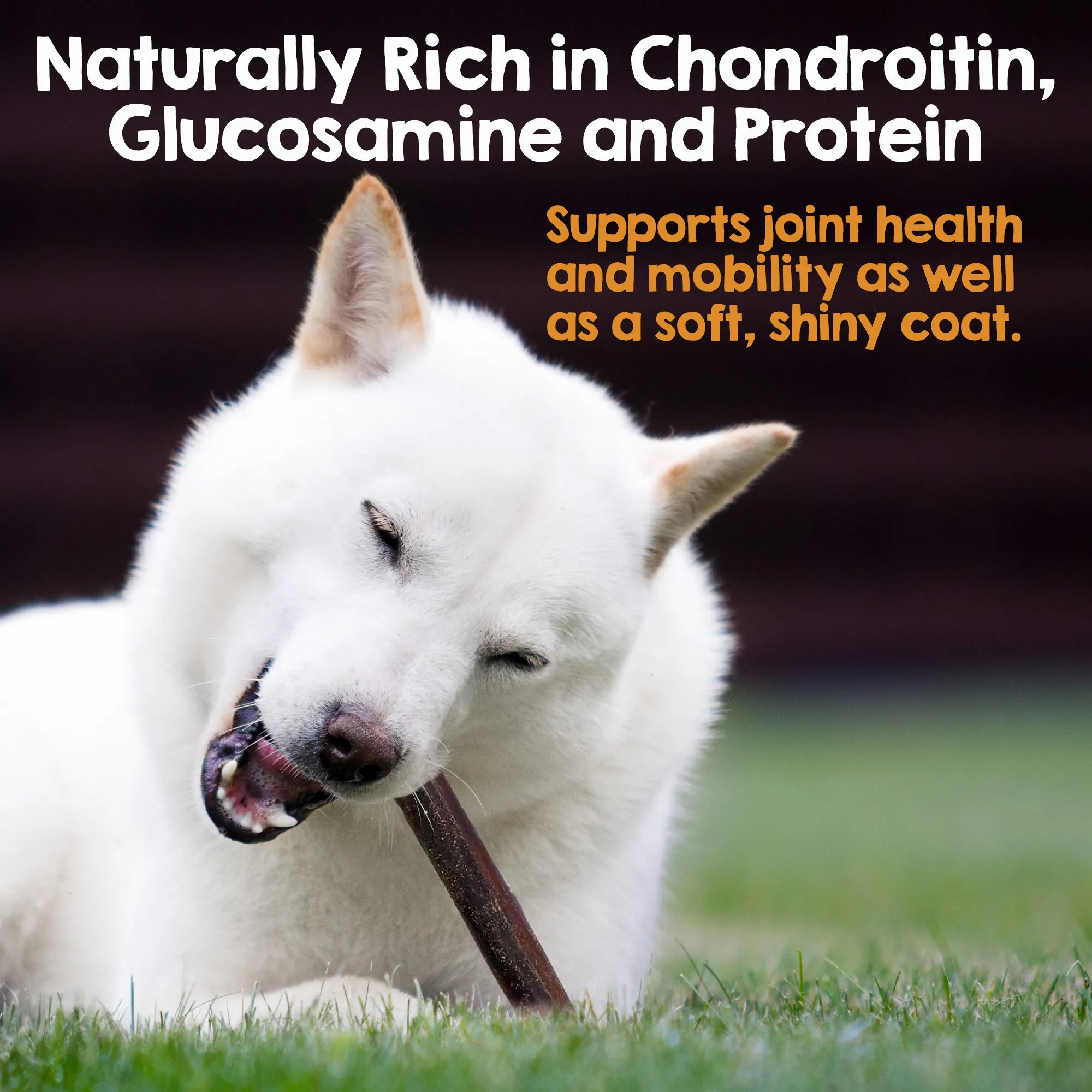 Riley's Originals Beef Collagen Sticks