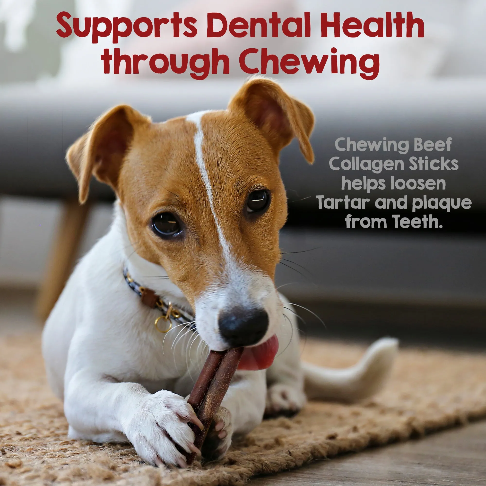 Riley's Originals Beef Collagen Sticks