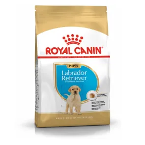 Royal Canin Labrador Retriever Puppy