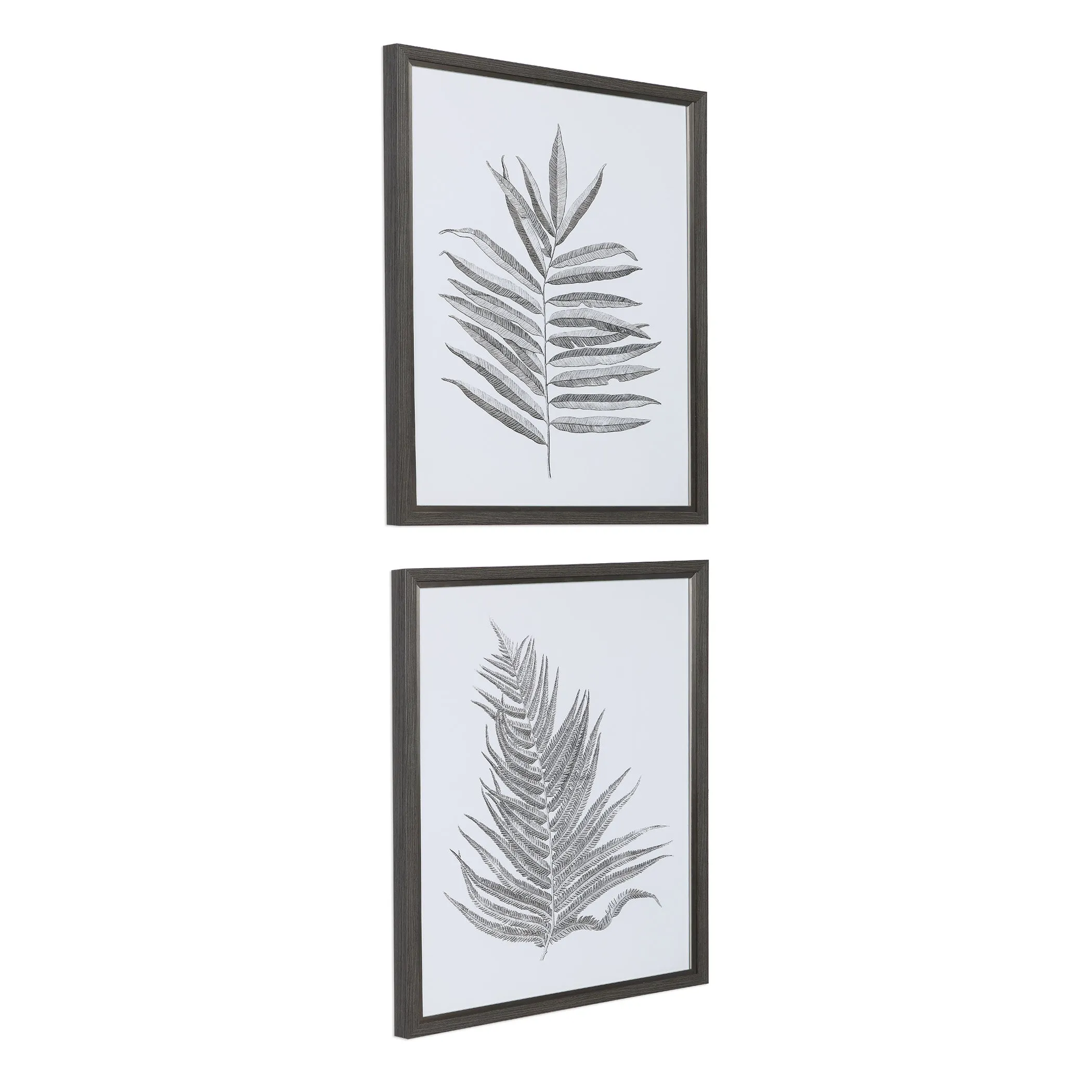 Uttermost Silver Ferns Framed Prints Set/2